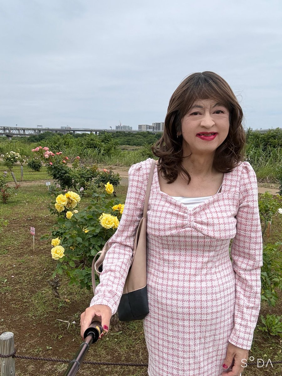 manacd1100's tweet photo. 久々ポスト😅相模川ローズガーデンというのに行っ��きました。バラ🌹は予想より少なかったけどやはり花を見るのは癒されます💕 https://t.co/ldGJa4BcsU