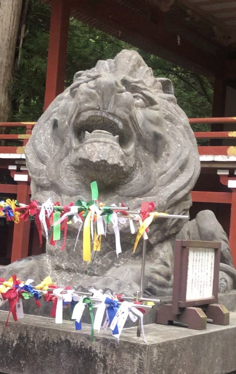 MegMaji's tweet photo. 🇱🇰スリランカでは国旗や像等でライオンがとても大事にされていますね🦁日光東照宮と同じエリアにある、大己貴命と味耜高彦根命（アジスキタカヒコネ）らを���る『二荒山神社』の狛犬がまさに同じ��イプのライオン像でした🍀由緒書きには"起源は、古代エジプト・メソポタミアでの神殿を守るライオン像→ https://t.co/ElNWwCVj8J
