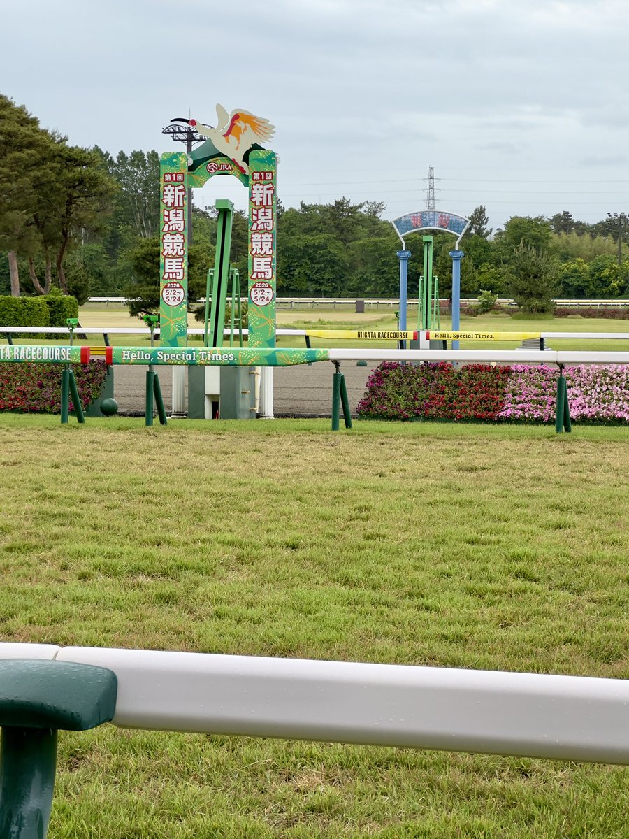 flam_tap433's tweet photo. おはようございます🐎 https://t.co/pZc0LPwAzJ
