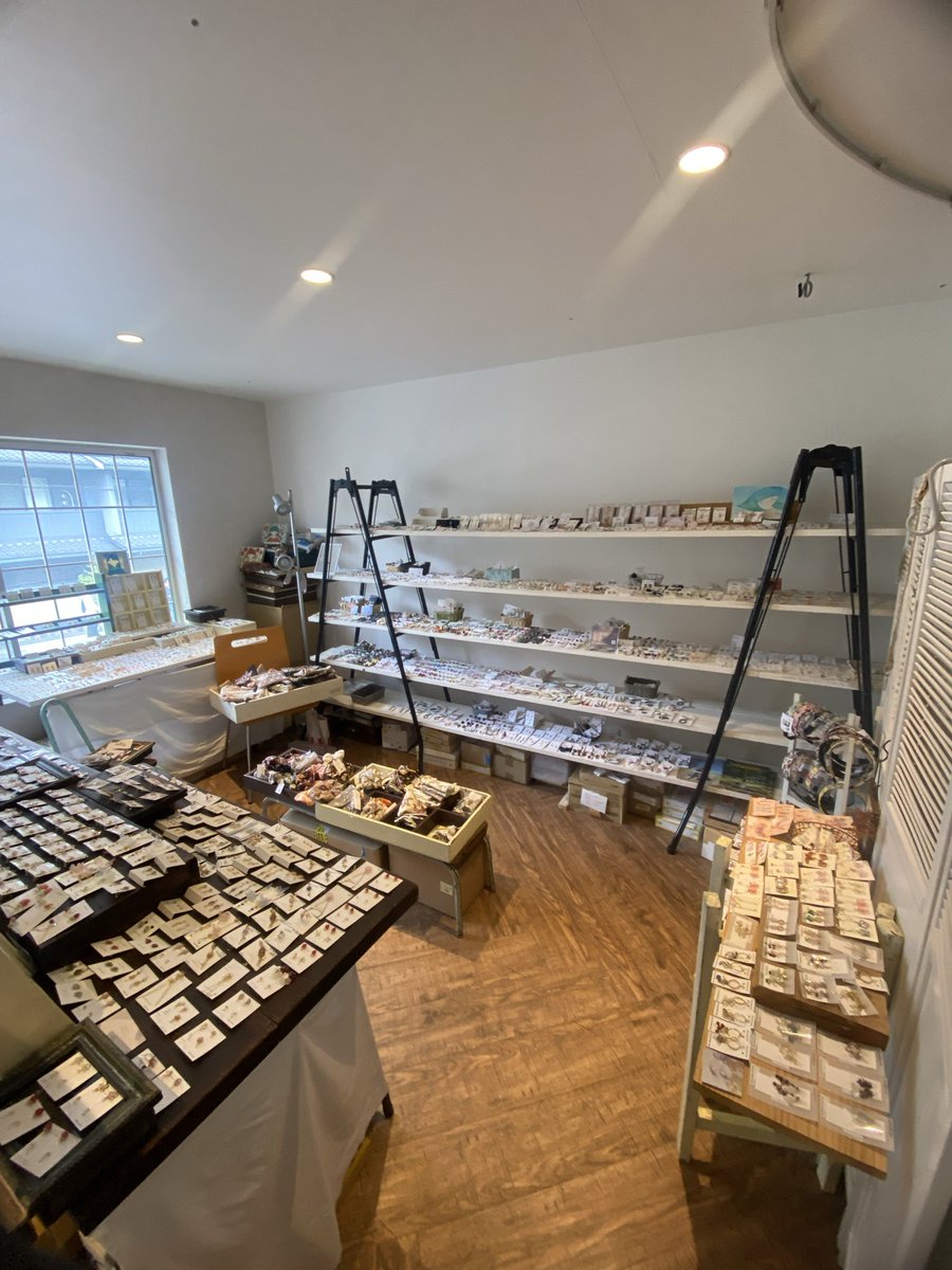 nmade73's tweet photo. N.madeの作品をお取り扱いいただいている
路地裏3坪雑貨店 八坂店様におじゃましてきました♪
N.madeは2階に作品置かせていただきてます♡
本日までのお取り扱いになります🐶❣️
よろしくお願いします☺️🫶🏻 https://t.co/kzvvZfCn4n