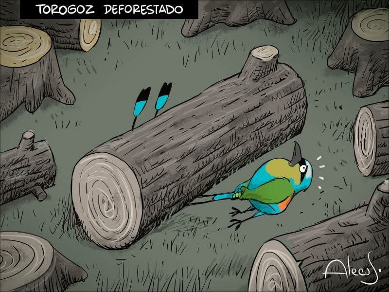 Mochila tweet media