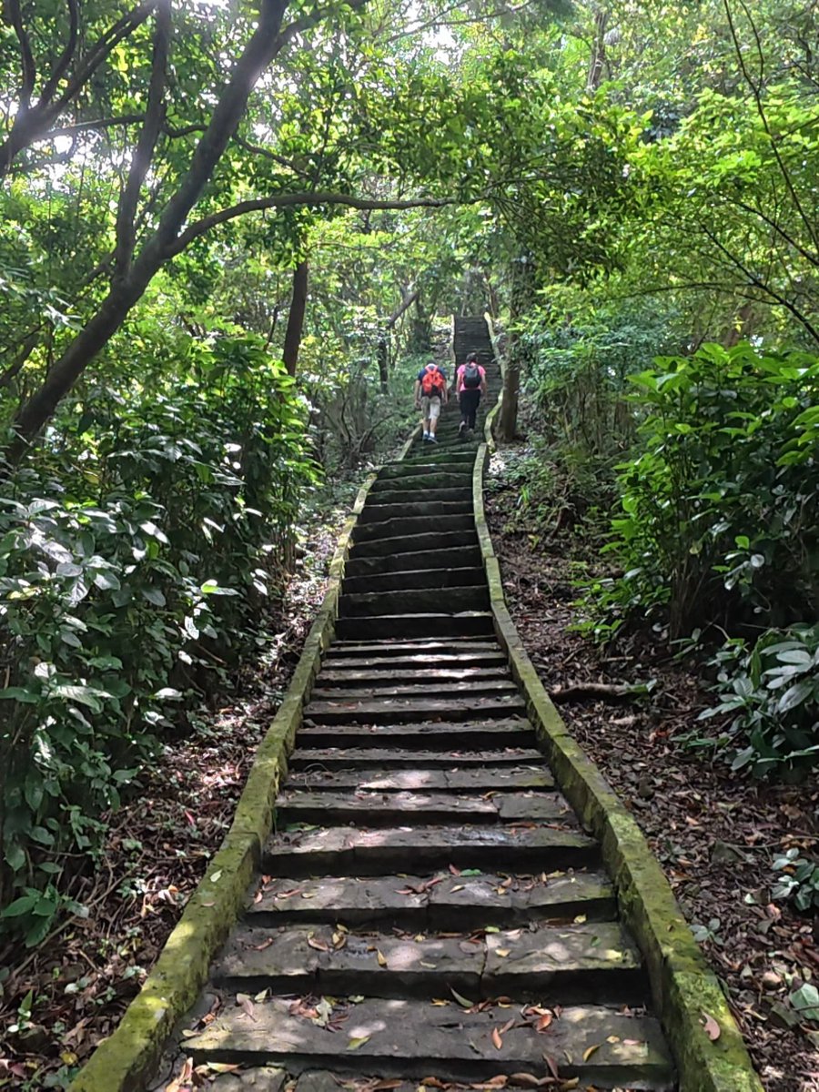 Elton5356's tweet photo. 尖山(占山閩南語)標高382公尺, 在觀音山之東南方, 是觀音山的副峰, 尖尖的山形酷似日本富士山, 緊臨淡水河, 故有「淡水河小富士山」美稱,  從開山凌雲寺走尖山步道到觀景台, 單程約1.6公里, 其中陡上陡下的石階令人印象深刻!
https://t.co/JqYoQePYfj https://t.co/cInQsAmEMm