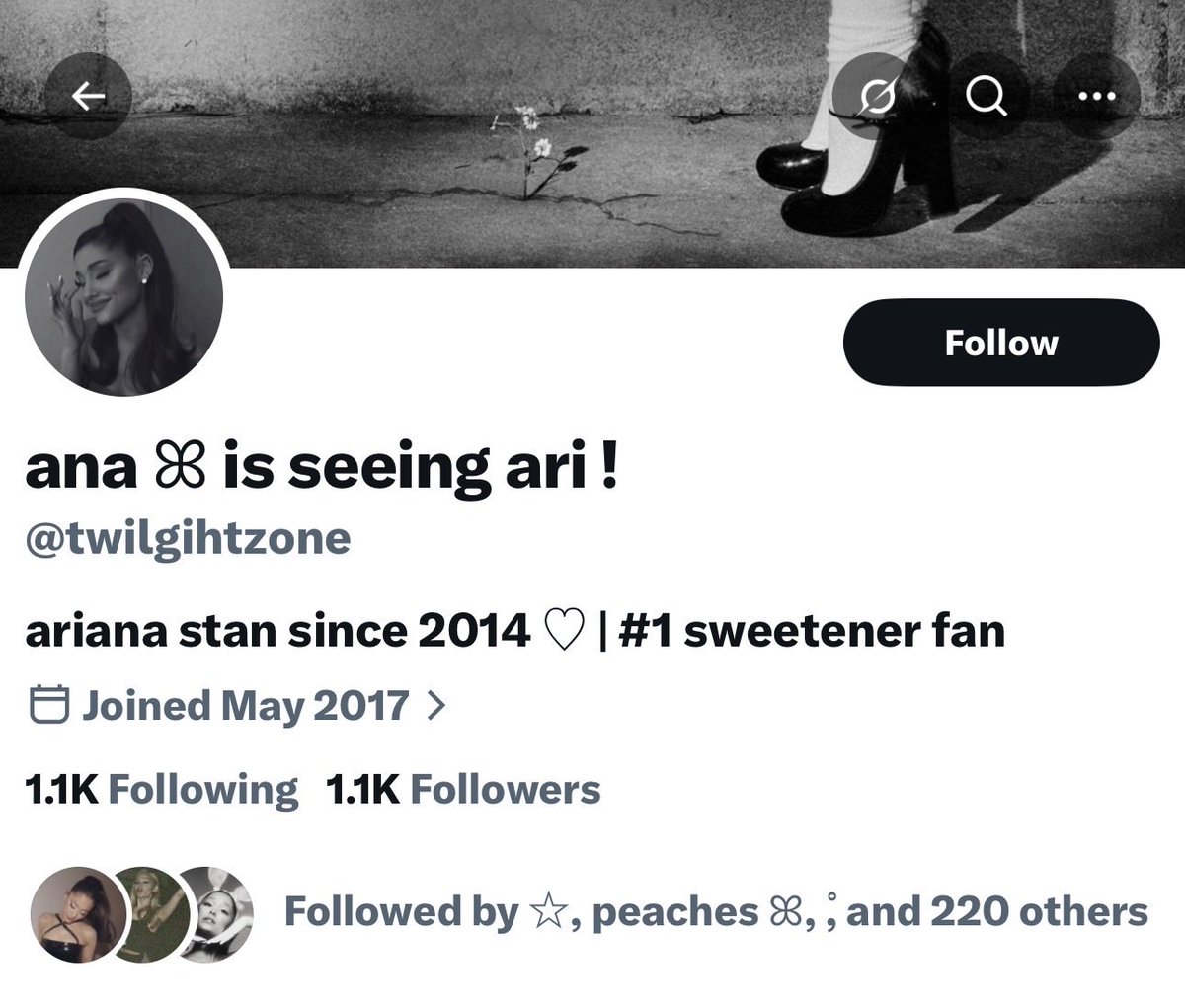 analis ꕤ is seeing ari ! tweet media