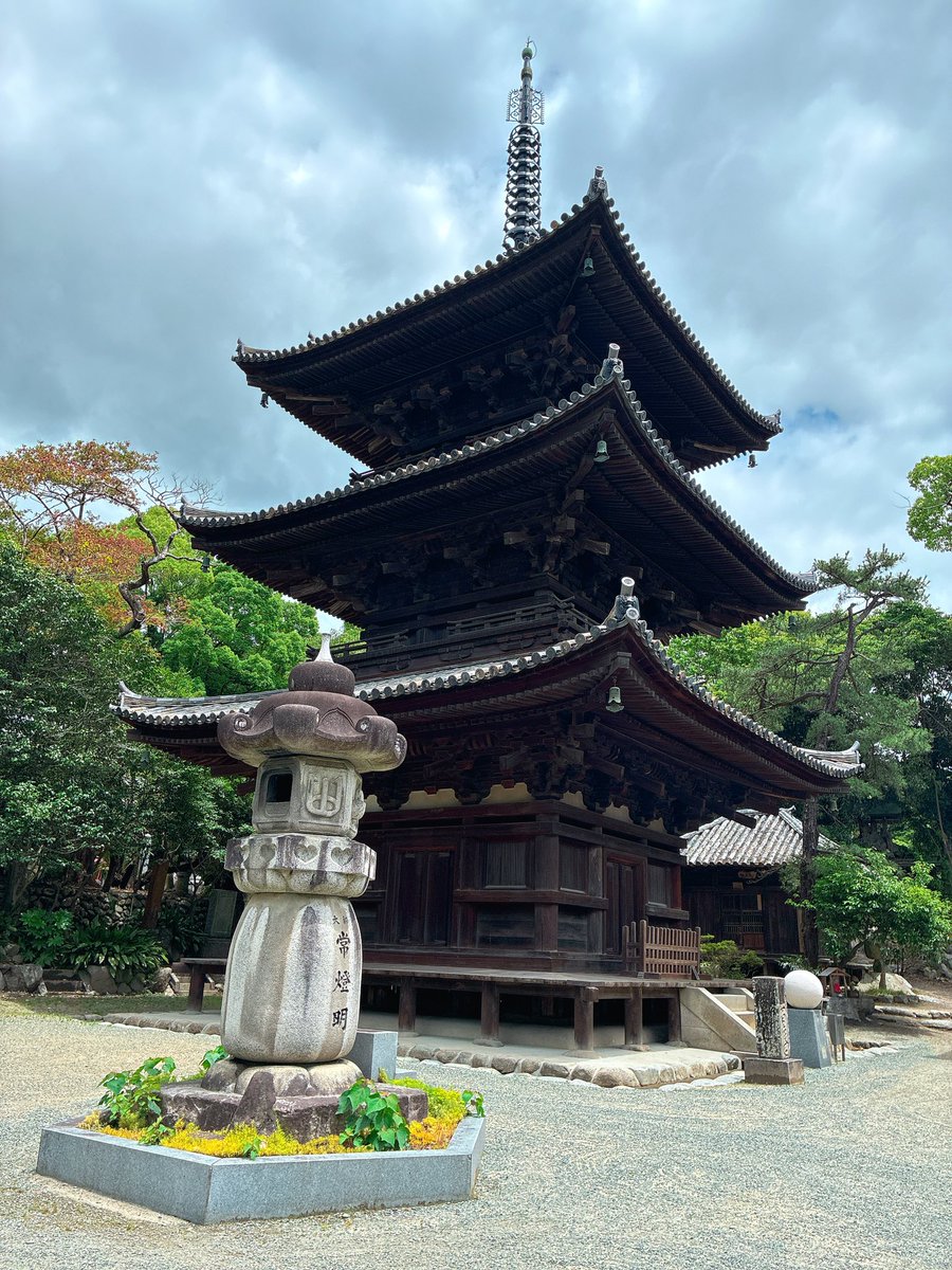 こざるくん tweet media