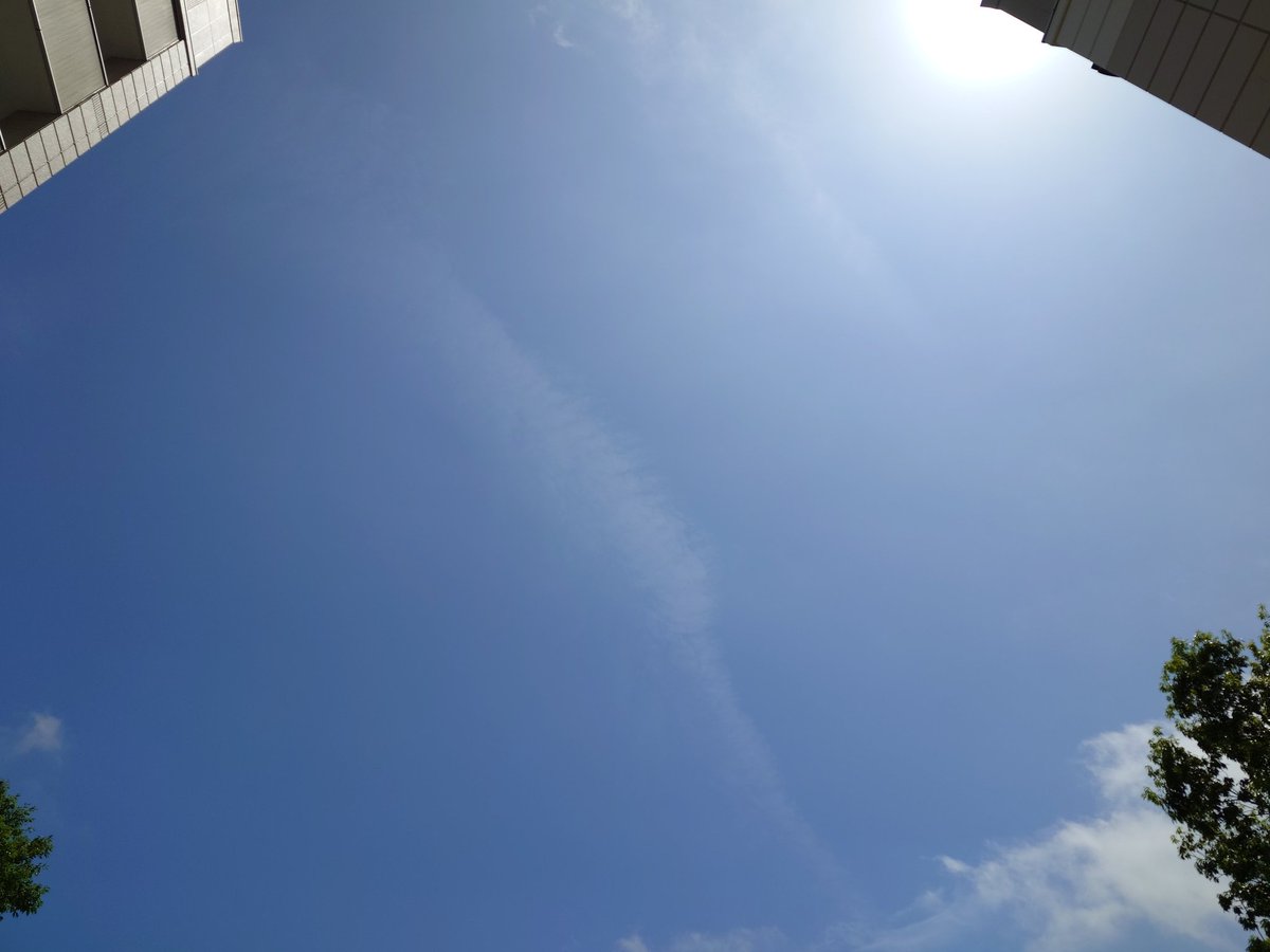 とーくん@11y tweet media