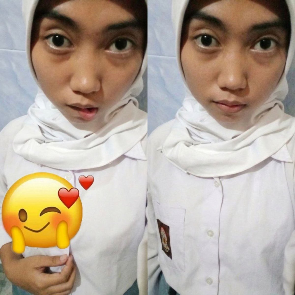 echa tweet media