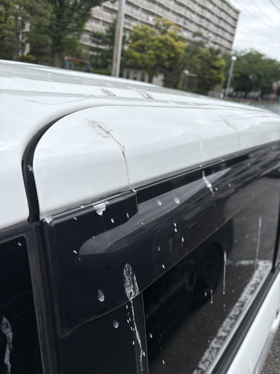 nobiru1986's tweet photo. つらいよ
洗車したばかりなのに
はじめて鳥に殺意が芽生えました🦆 https://t.co/iQ4gzKJ3JU