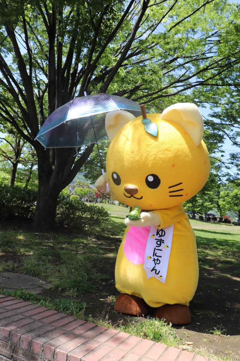 ゆずにゃん tweet media