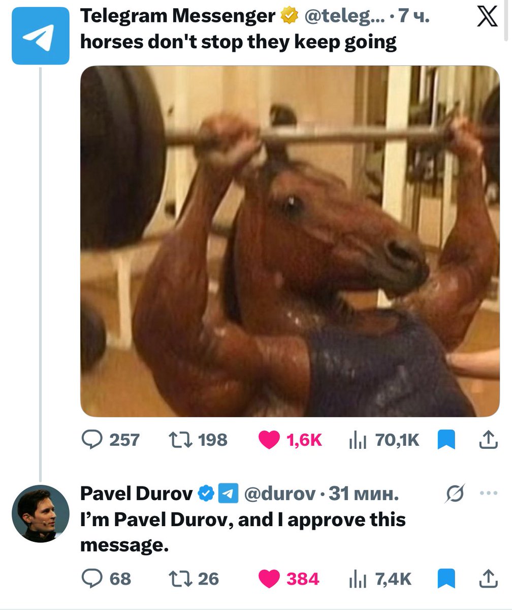 Fomo tweet media