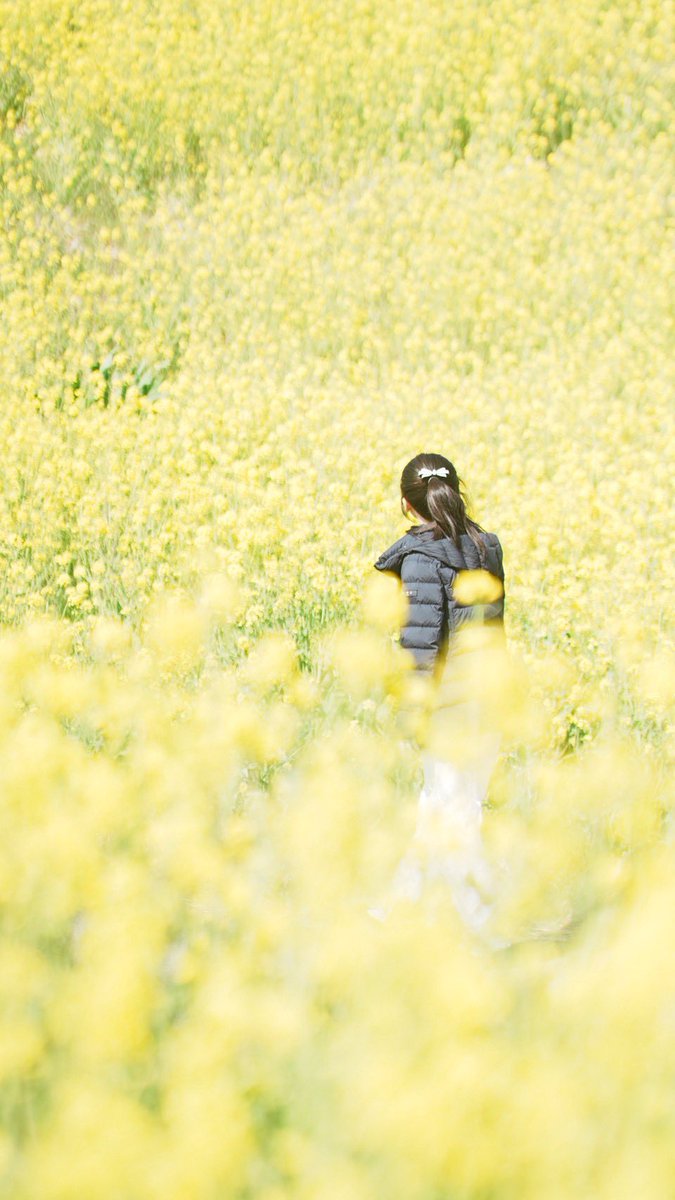 hana. tweet media