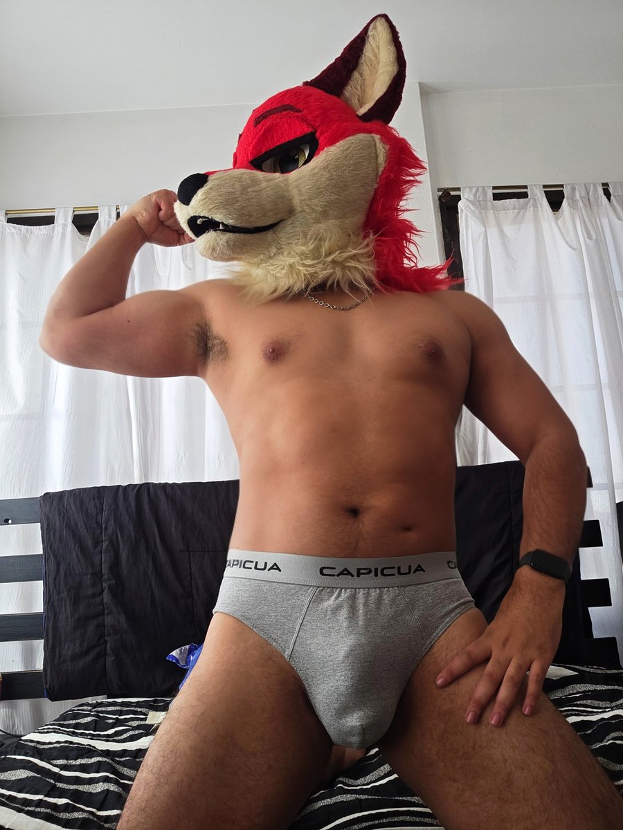 Leo the Foxy tweet media