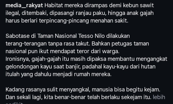 Flamboyan tweet media