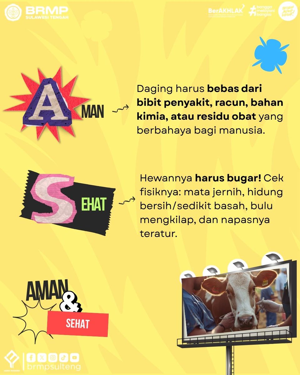 brmpsulteng's tweet photo. TAHUN INI MASIH KURBAN PERASAAN? π Mending kurban sapi aja, SobaTani! πβ¨
#IdulAdha2026 #KurbanASUH #PertanianModern #BRMPSulteng #KementerianPertanian #SapiKurban #PeternakanSulteng #SobaTani #TipsPertanian #Kurban2026 https://t.co/pnsTyqNuRE