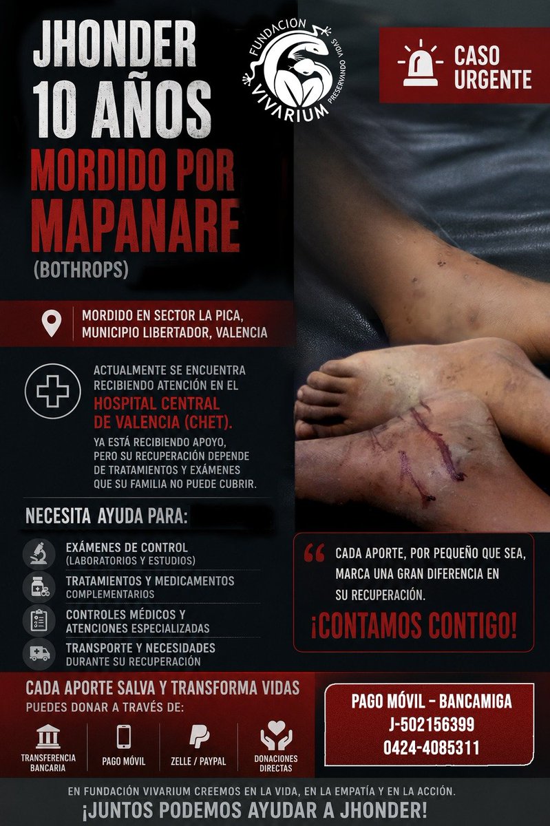 Fundación Vivarium tweet media