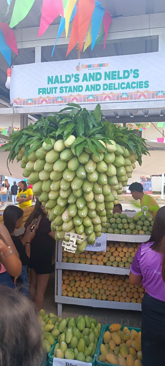 KuysMarino's tweet photo. Manggahan Festival, Guimaras Island https://t.co/pua0nSXPK5