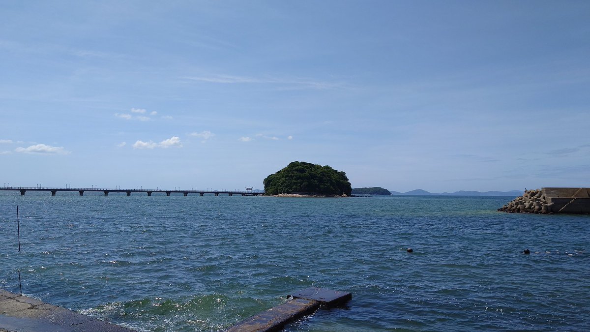 rintakirin's tweet photo. 蒲郡の竹島来ましたー。曇り予報だったけど、晴れて良かったねー☀
りんた！🦒✨
 #りんたアルバム
 #りんたの旅記録
 #ぬい活
 #ぬい撮り https://t.co/L3ZC4g4Byf