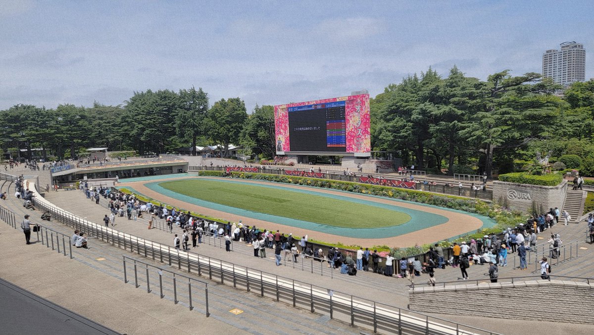 ssk_417's tweet photo. 空いてる競馬場はええ https://t.co/gkNxpF4C9J