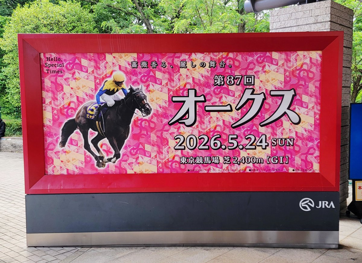 ssk_417's tweet photo. 空いてる競馬場はええ https://t.co/gkNxpF4C9J