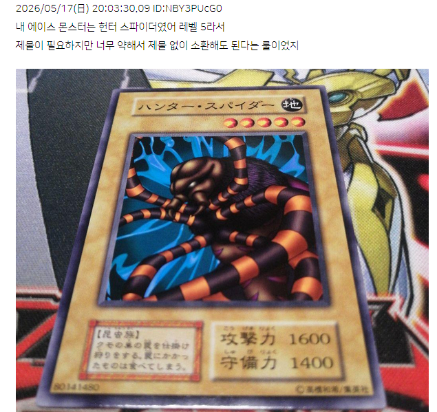 호봑호 tweet media