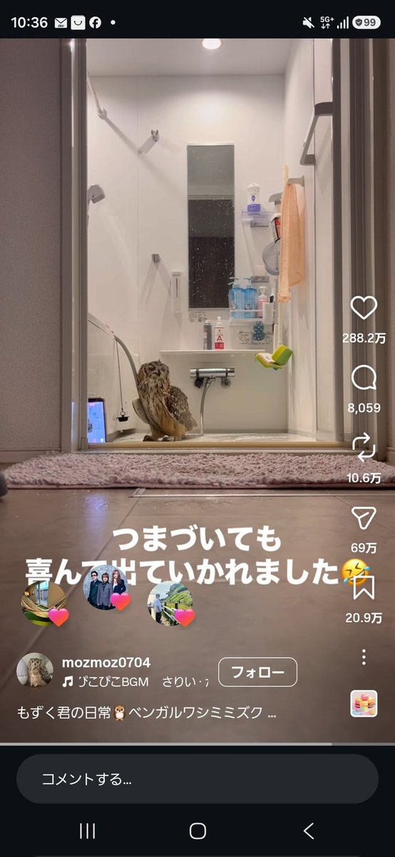 Masa__ron's tweet photo. ジの公式が風呂に入るフクロウの動画にイイネしててワロタwwwww可愛いもんなwwwww🦉 https://t.co/CqLGvYZbLY