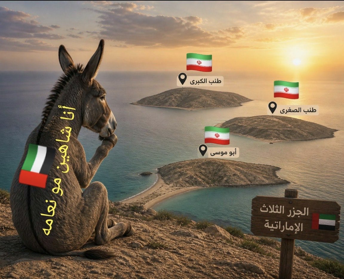 KSA 🇸🇦 tweet media