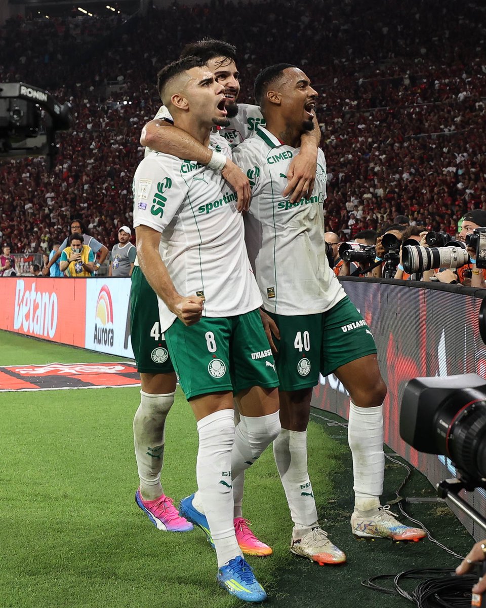 SE Palmeiras tweet media