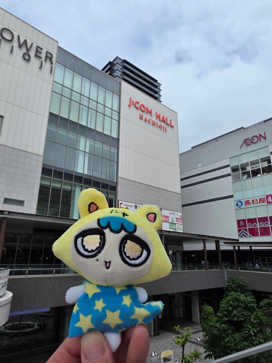 ナゴヤのSei🌟 tweet media
