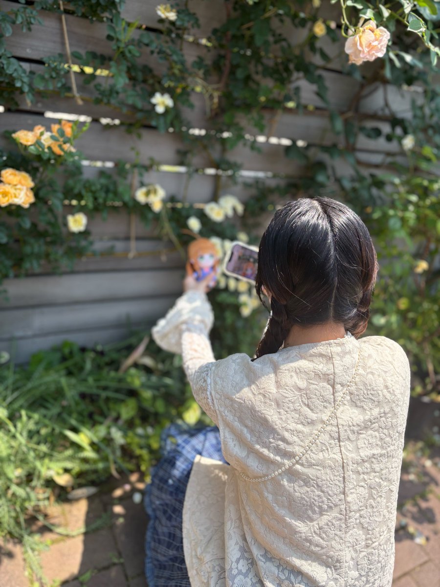 岡村明香(おかむらはるか)🐖 tweet media