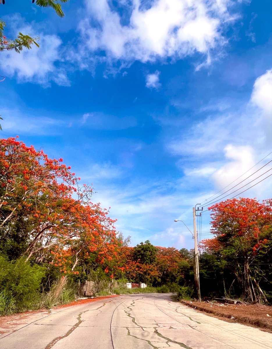 TomPlus99's tweet photo. 🍂🍁☁️ https://t.co/xvJkFIB5gZ