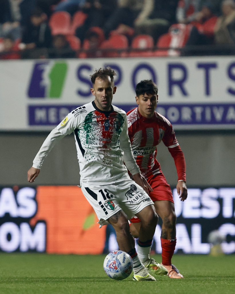 Club Deportivo Palestino tweet media