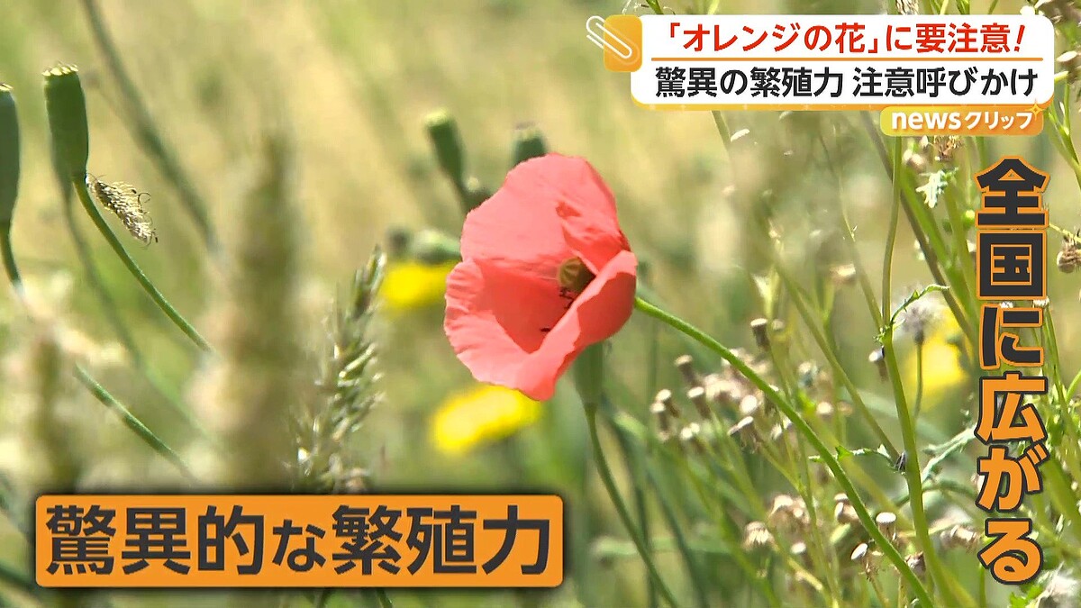 ライブドアニュース tweet media