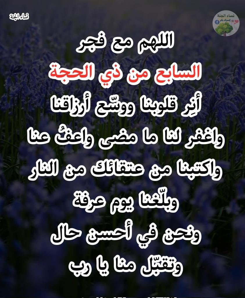 ملك الاحساس tweet media