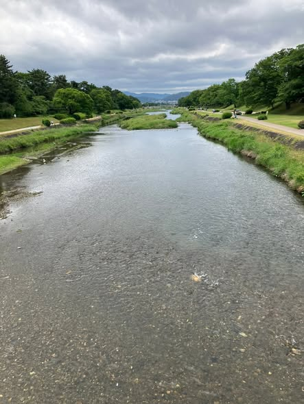 マンスリーBOATRACE tweet media
