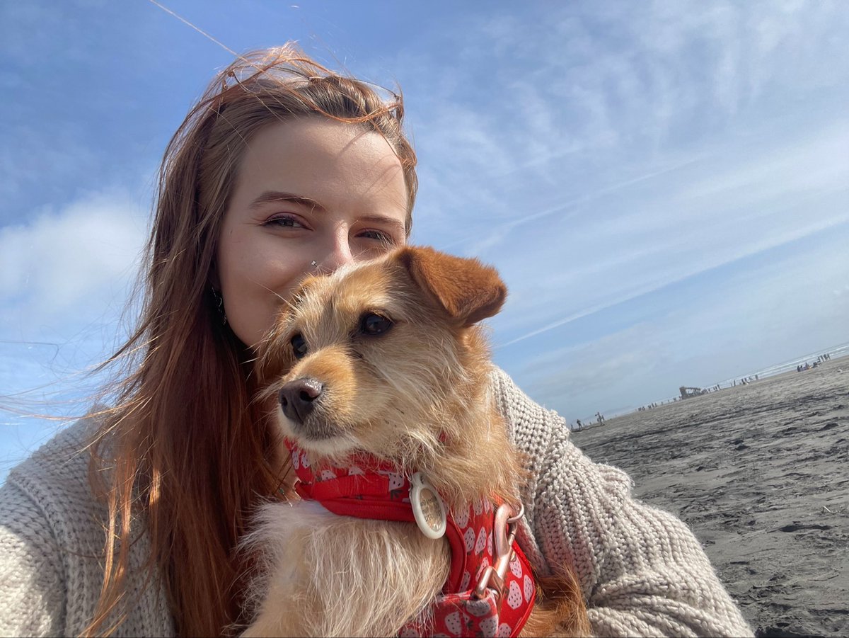 alilbitofedith's tweet photo. beach day ⛱️ https://t.co/5s90qKbmfe