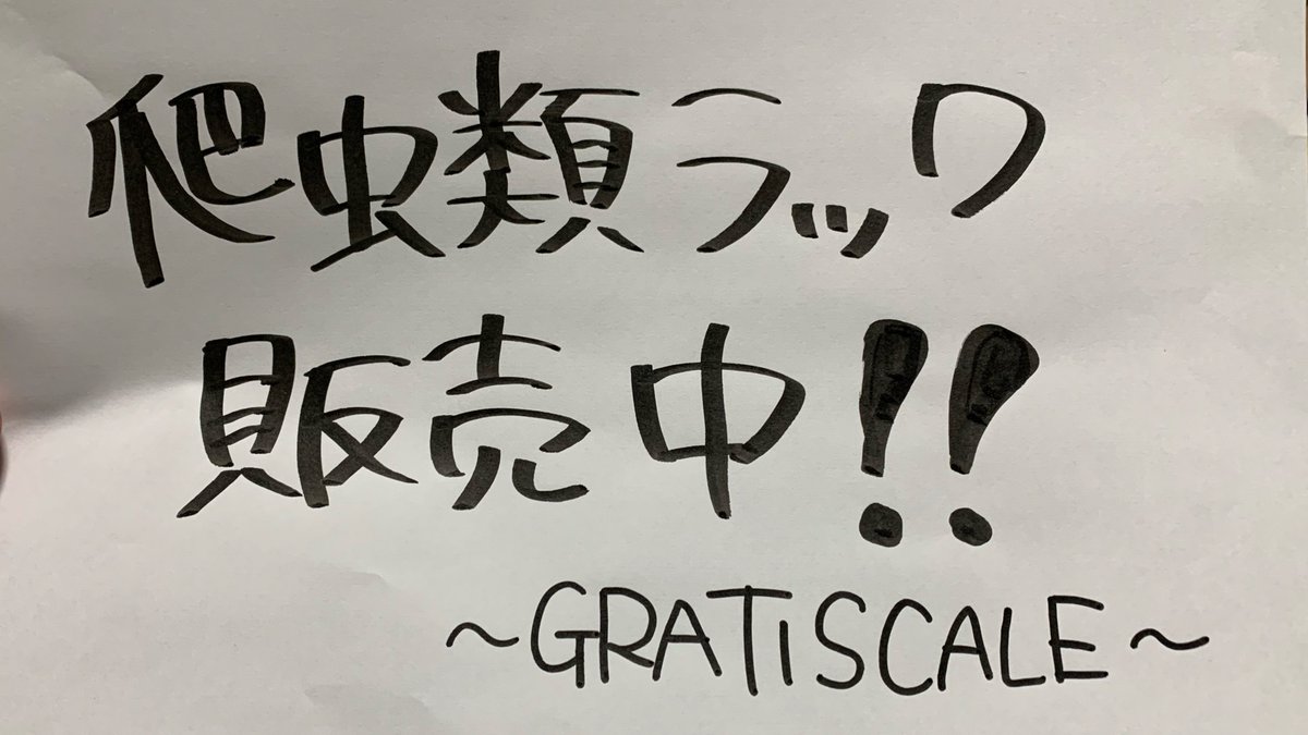 gachio55's tweet photo. 設営完了^_^お待ちしております😁
可愛い子達たくさんいます‼️

#ヒョウモントカゲモドキ
#レオパ
#レオパードゲッコー
#爬虫類
#近畿レプタイルズマーケット
#近レプ https://t.co/SjnMr1S4nk