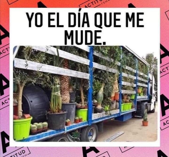 Verónica Higuerón tweet media