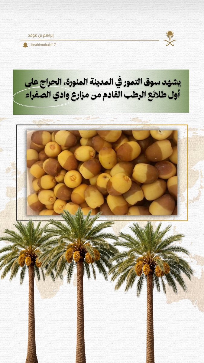 إبراهيم بن موقد tweet media