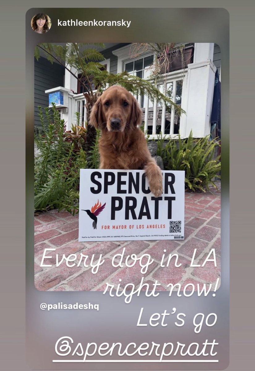 LADogLover tweet media