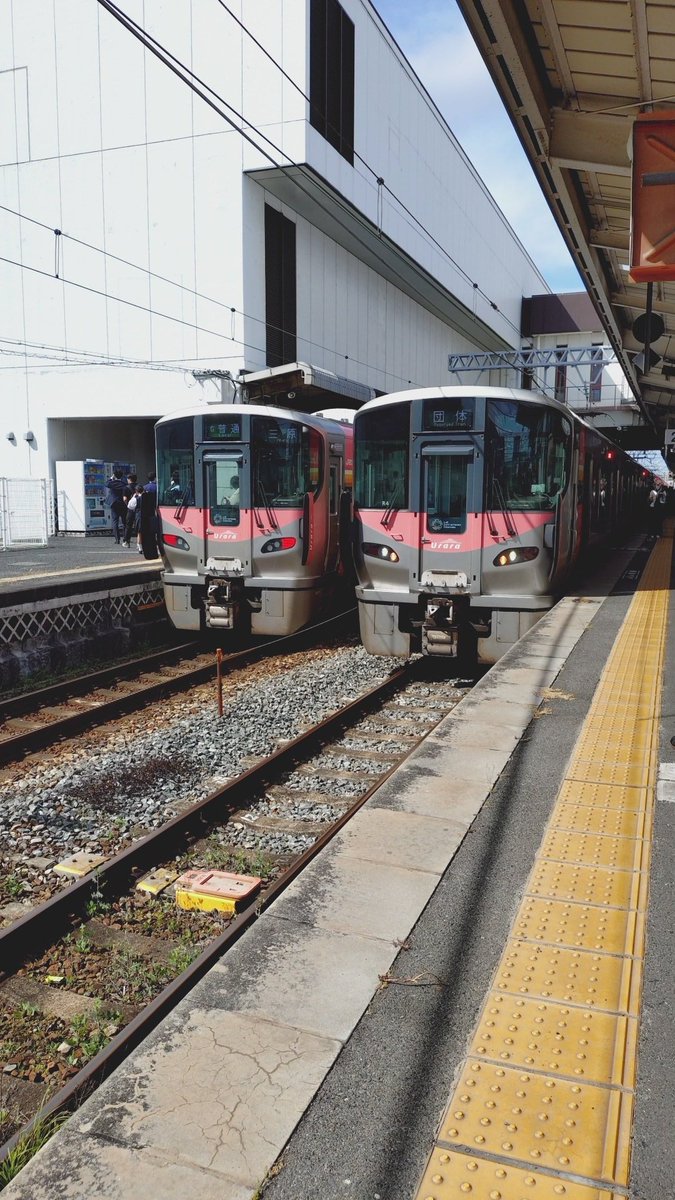 もも mz3957_6.jpg