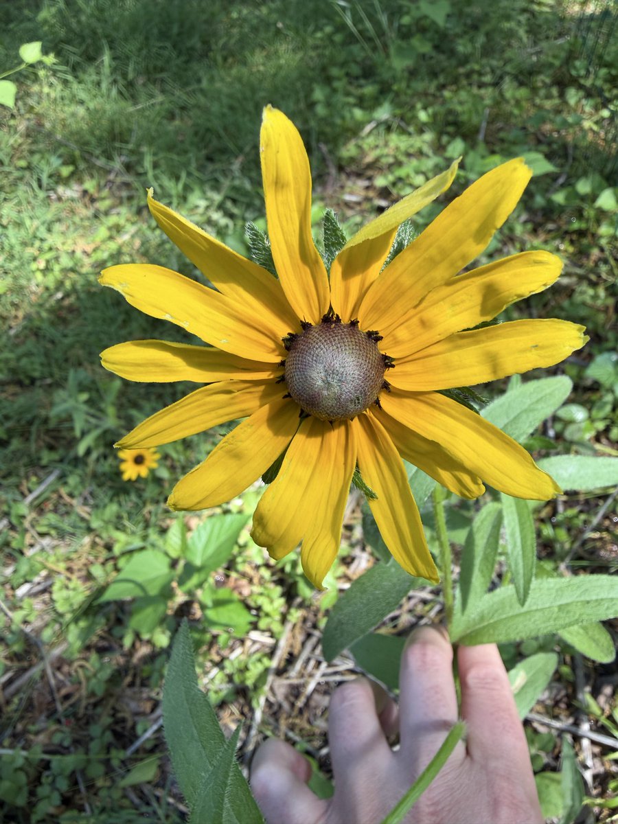 Life on the Prairie🌾 tweet media