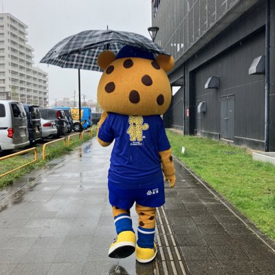株式会社高速 おとどけチータくん tweet media