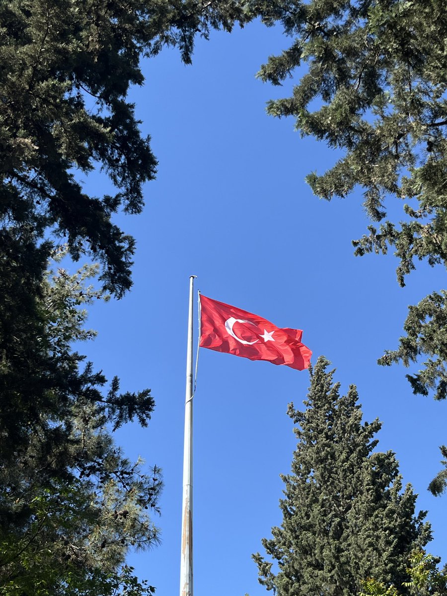 özlem tweet media