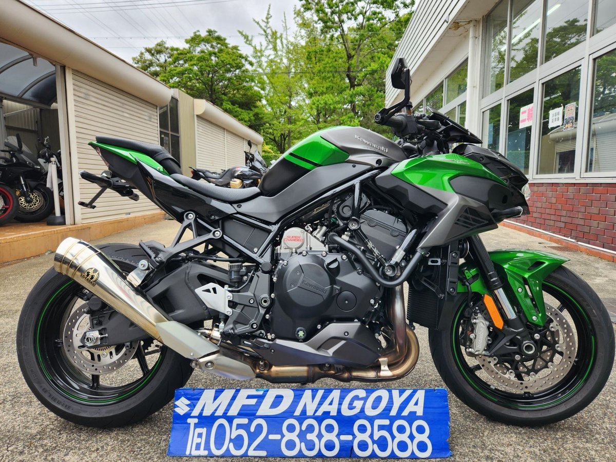 933☘️ラスト☘️タグ付☘️1年間管理株☘️⭐️multifidus xヒデコート⭐️大木 mfd