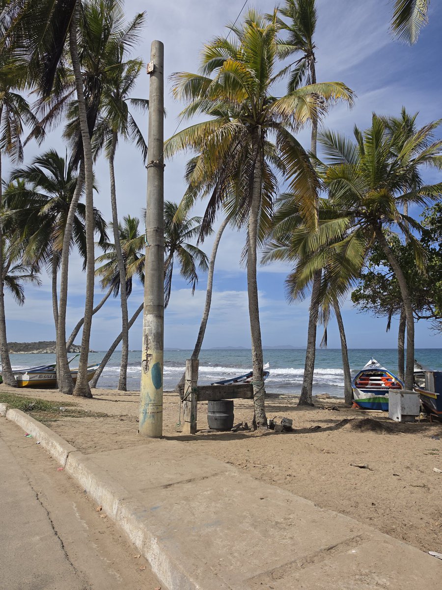 JenifferCC's tweet photo. Me quede impresionada como la isla ha crecido la adopcion de criptomonedas https://t.co/9HgVA5loGS