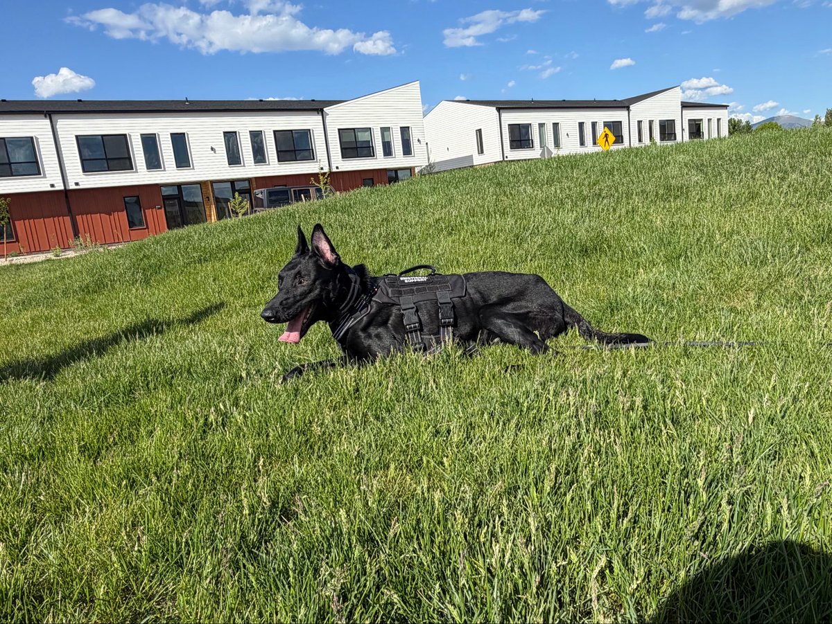 GhostDogJeeper's tweet photo. Reaper getting some training in https://t.co/gSPTtuiQHz