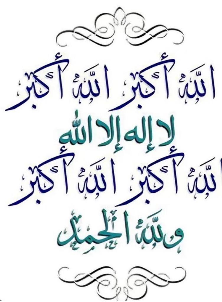 محمد الزلامي tweet media