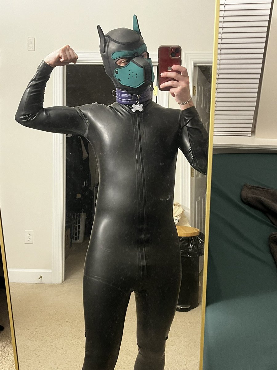PupDox's tweet photo. Rubber is fun https://t.co/7RQykL7XV9