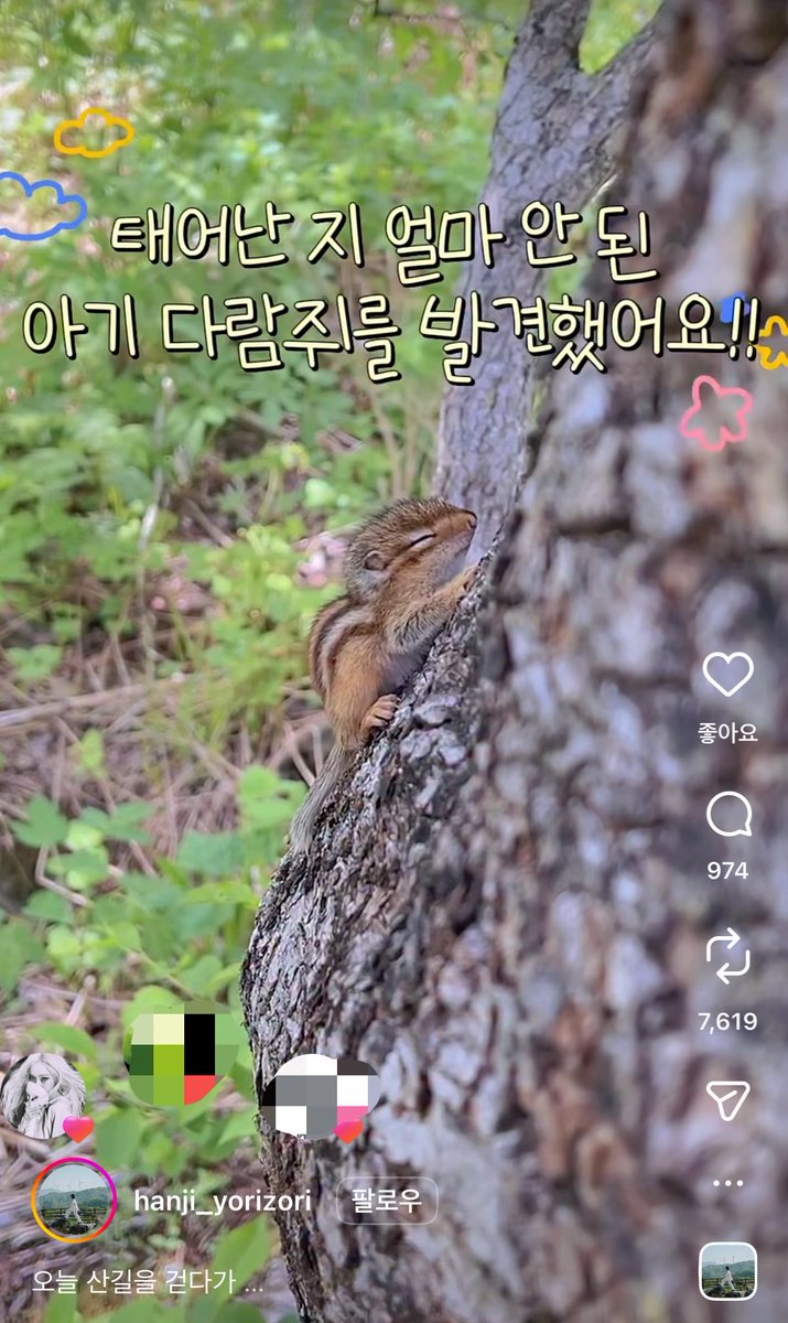 브루 tweet media