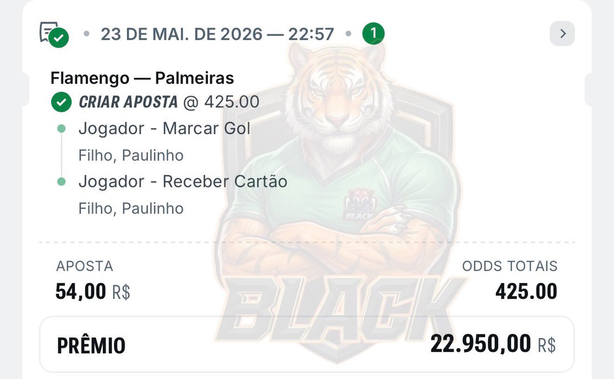 Lucas Paes - TIGER 🐯 tweet media
