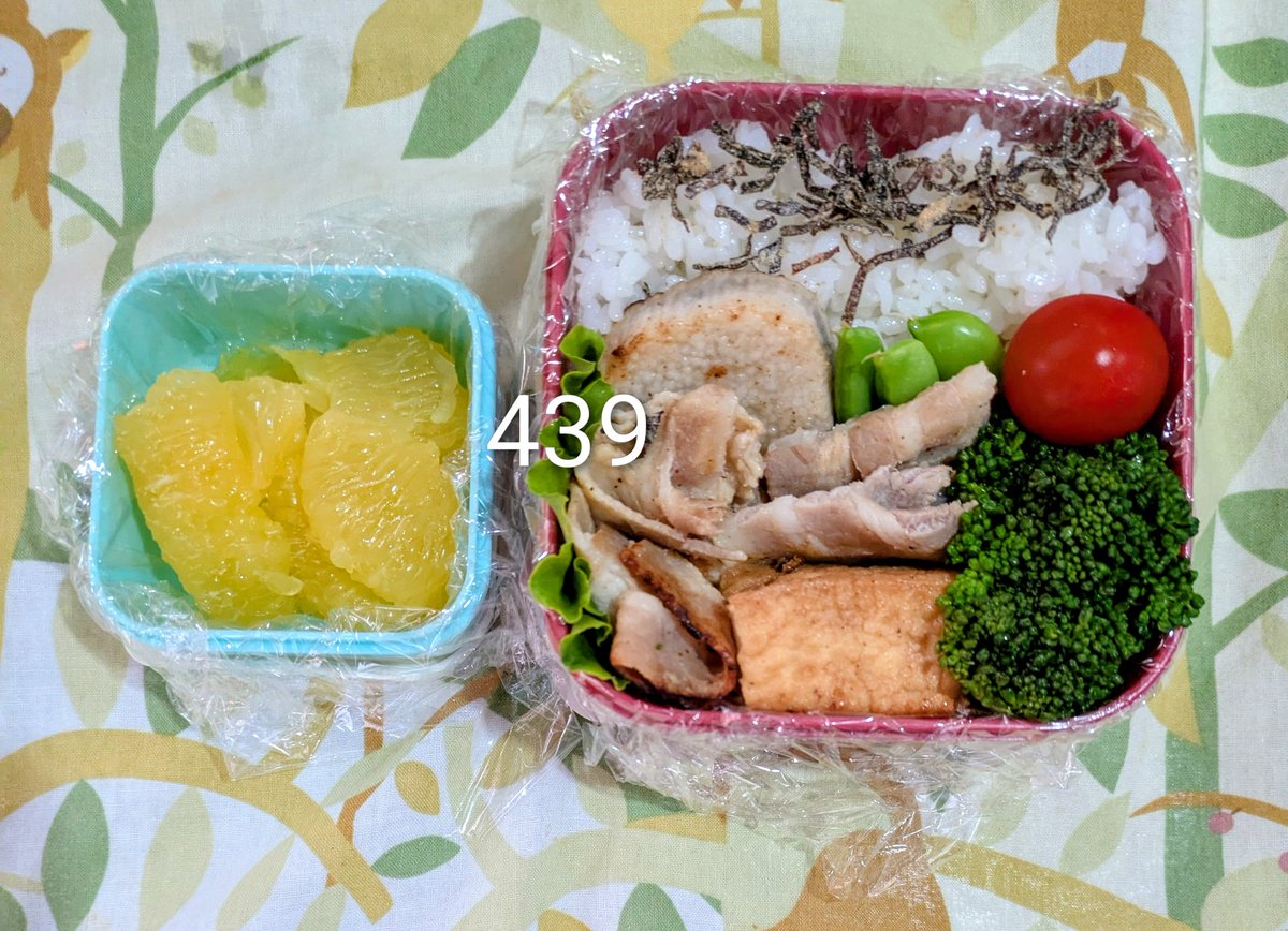 kitchen439's tweet photo. 昨日の #お弁当 と今日のお弁当 昨日は #鯛飯おにぎり 最近ご飯ごと詰めるのにハマってます
#お弁当作り楽しもう部 #多品目弁当 #お弁当記録  #家庭菜園 #料理好きな人と繋がりたい https://t.co/hDSU562N2Z